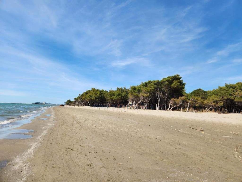 Topi Vlorë